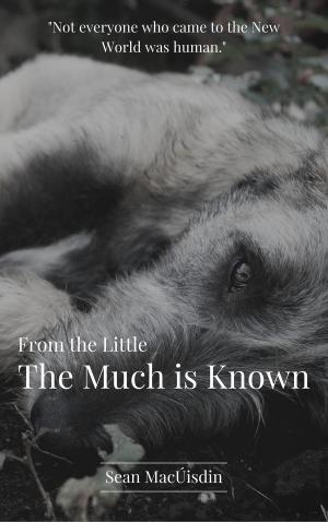bigCover of the book From the Little the Much is Known by 
