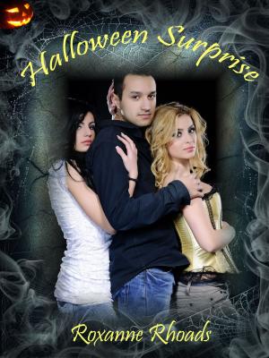 Book cover of Halloween Surprise