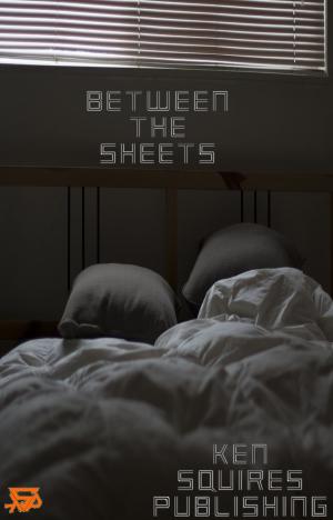bigCover of the book Between The Sheets by 