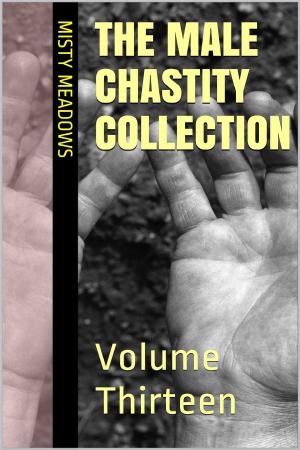 Book cover of The Male Chastity Collection: Volume Thirteen