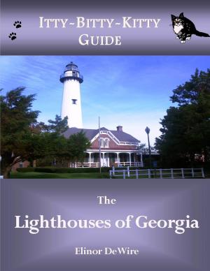 bigCover of the book Lighthouses of Georgia by 
