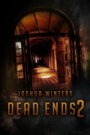 bigCover of the book Dead Ends2 by 