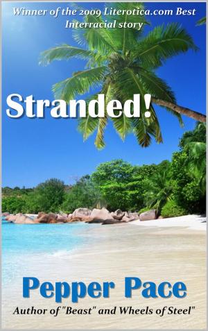 Cover of Stranded!