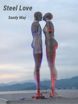 Cover of the book Steel Love by Sand Wayne
