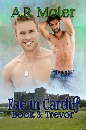 Book cover of Fae in Cardiff Book 3: Trevor