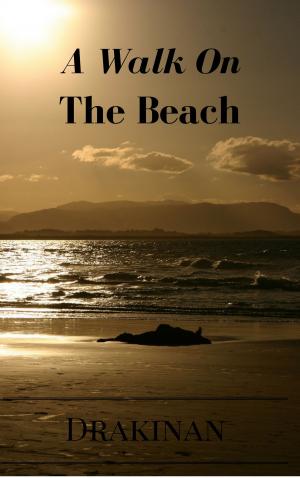 Book cover of A Walk On The Beach