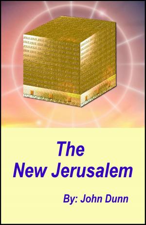 Cover of the book The New Jerusalem by John Dunn