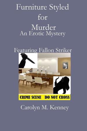 Book cover of Furniture Styled for Murder