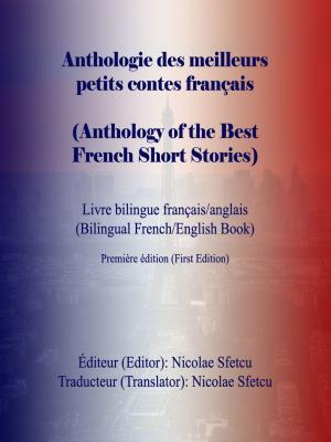 Book cover of Anthologie des meilleurs petits contes français (Anthology of the Best French Short Stories)