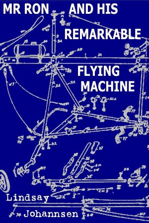 Cover of the book Mr Ron And His Remarkable Flying Machine by Alessandro Zignani