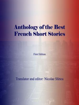 Book cover of Anthology of the Best French Short Stories