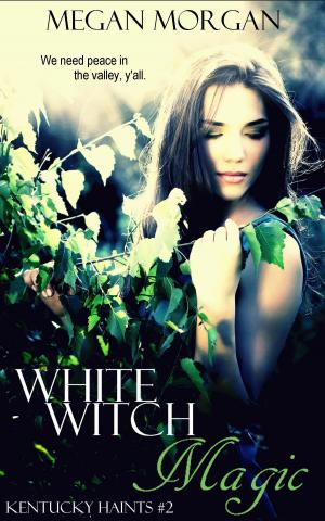 Book cover of White Witch Magic (Kentucky Haints #2)