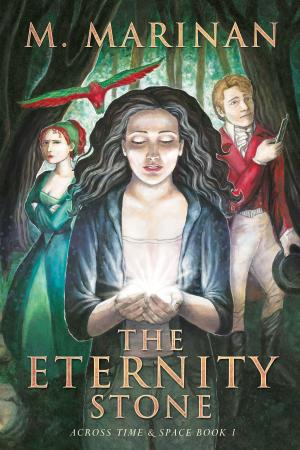Book cover of The Eternity Stone