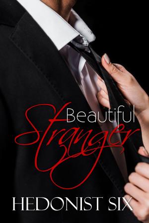 Book cover of Beautiful Stranger