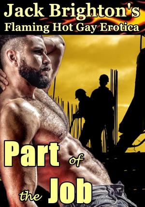 Cover of the book Part of the Job by Meg Leigh