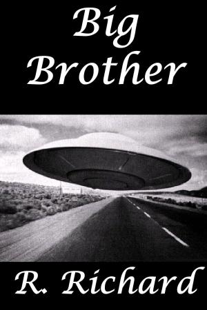 Cover of the book Big Brother by R. Richard