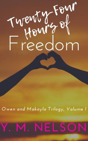 Cover of the book Twenty-Four Hours of Freedom by David Casler
