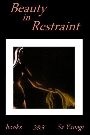 bigCover of the book Beauty In Restraint, Books 2 and 3 by 