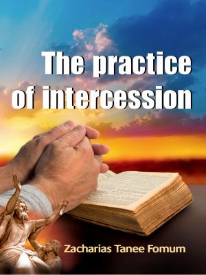 Cover of The Practice of Intercession
