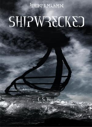 Book cover of Shipwrecked