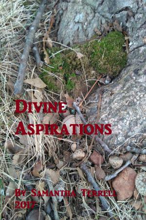 Book cover of Divine Aspirations