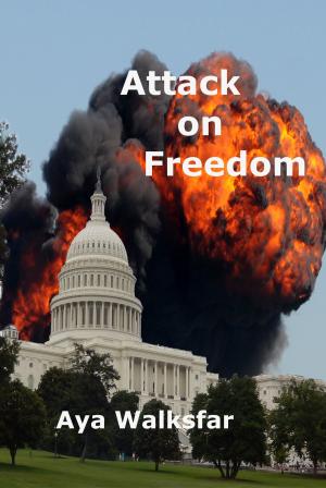 Cover of the book Attack On Freedom by David Burton