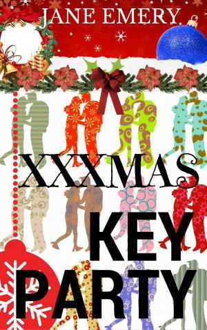 Cover of the book XXXmas Key Party by Rushmore Judd