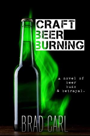 Book cover of Craft Beer Burning