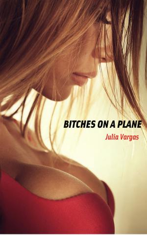 Cover of the book Bitches On A Plane by Alexandra Lee