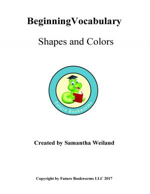 Book cover of Vocabulary for Beginners: Shapes & Colors