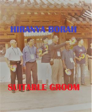 Cover of Suitable Groom