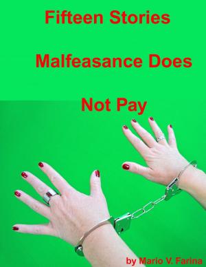 Cover of the book Fifteen Stories Malfeasance Does Not Pay by Mario V. Farina