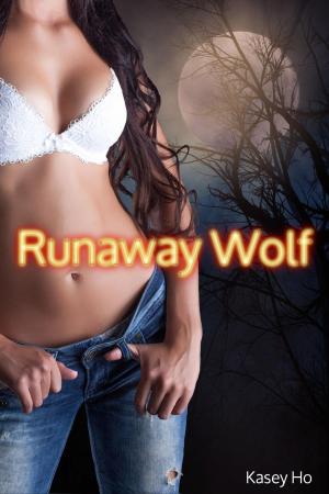 Cover of Runaway Wolf