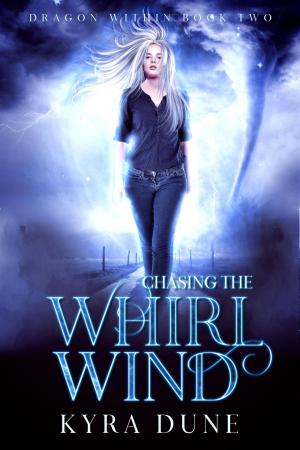Cover of the book Chasing The Whirlwind by Chris Lundy