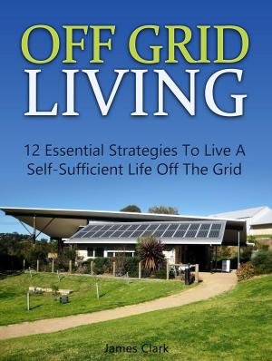 Book cover of Off Grid Living: 12 Essential Strategies To Live A Self-Sufficient Life Off The Grid