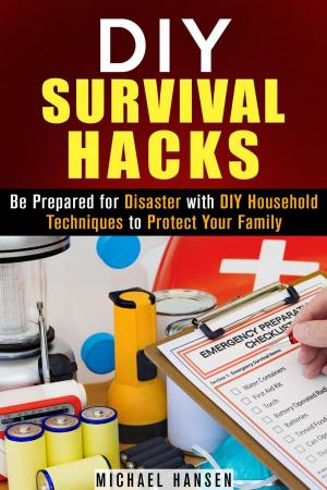 Book cover of DIY Survival Hacks: Be Prepared for Disaster with DIY Household Techniques to Protect Your Family