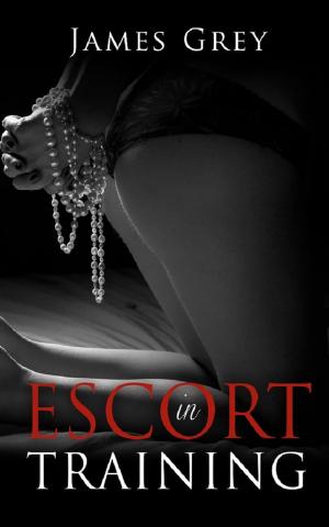 Cover of the book Escort in Training by Jared Davis