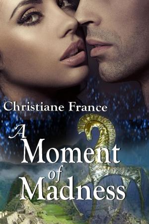 Cover of the book A Moment Of Madness by Christiane France
