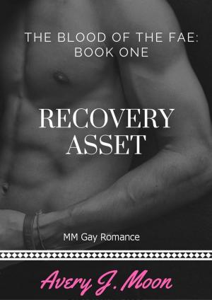 Cover of the book Recovery Asset by Adam Patterson