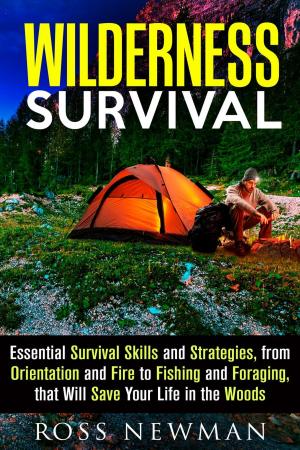 bigCover of the book Wilderness Survival: Essential Survival Skills and Strategies, from Orientation and Fire, to Fishing and Foraging, that Will Save Your Life in the Woods by 
