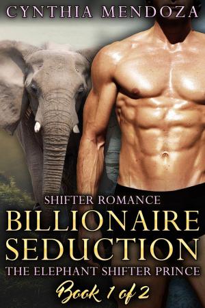 Book cover of Billionaire Seduction