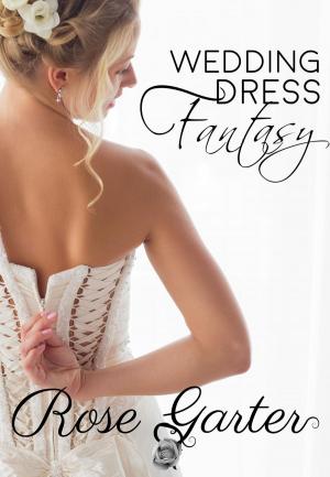 Cover of the book Wedding Dress Fantasy by S. Cu'Anam Policar