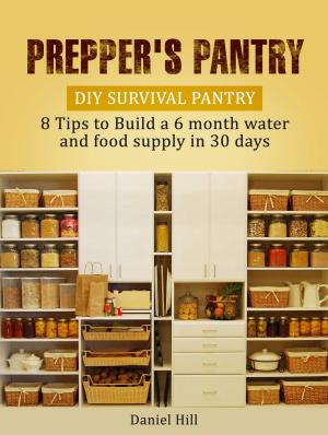 Cover of the book Prepper's Pantry: DIY Survival Pantry: 8 Tips to Build a 6 month water and food supply in 30 days by James Wilson