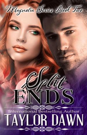 Cover of the book Split Ends by Cara Carnes