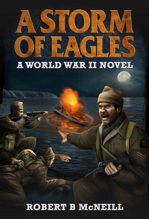 Cover of the book A Storm of Eagles: a World War II novel by Cyndy Aleo