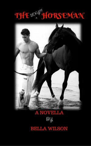 Book cover of The Sexy Horseman