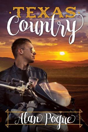 Cover of the book Texas Country by David Schibi