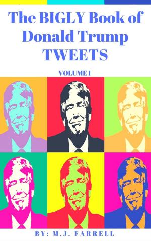 Book cover of The Bigly Book of Donald Trump Tweets: Volume 1