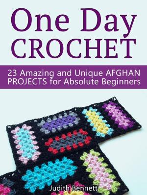 Cover of the book One Day Crochet: 23 Amazing and Unique Afghan Projects for Absolute Beginners by Austin Allen