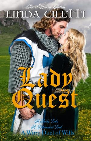 Cover of the book Lady Quest by Dan Kelly